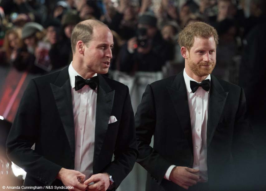 1.2OKJPrince William and Henry1.jpg